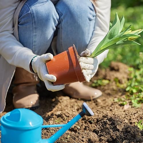 Miniatura 9 de 12 pares de guantes de algodón para barbacoas, cocinar, asar a la parrilla, manipulación de alimentos, guantes de trabajo de seguridad para guardar