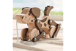 Montessori Pull Along Wooden Dog Walking Toy