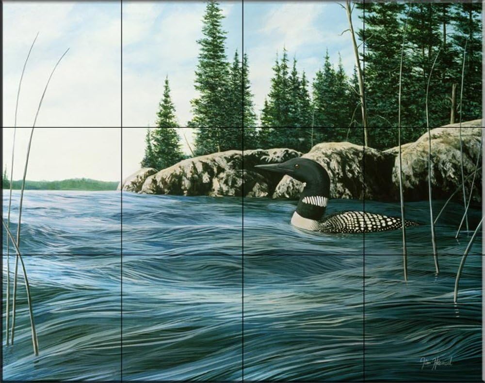 Ceramic Backsplash Tile Mural Waterfowl Bird Kitchen/Bathroom - Summer Loon - Jim Hansel