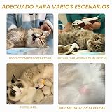 Ver la foto 5