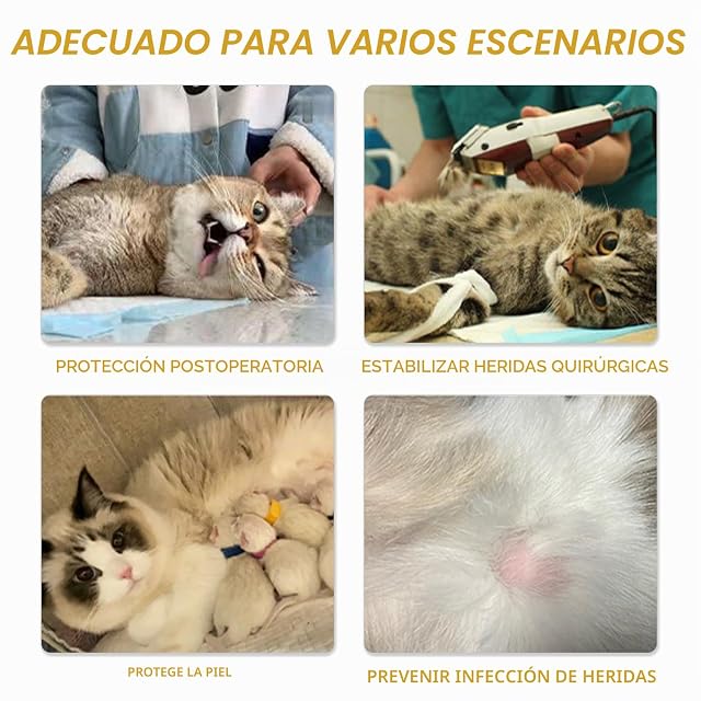 Foto 5 de 6 de 1 Ropa Protectora para Gatos y 1 Collar Amarillo Antifugas para Mascotas, Mono para Gatos