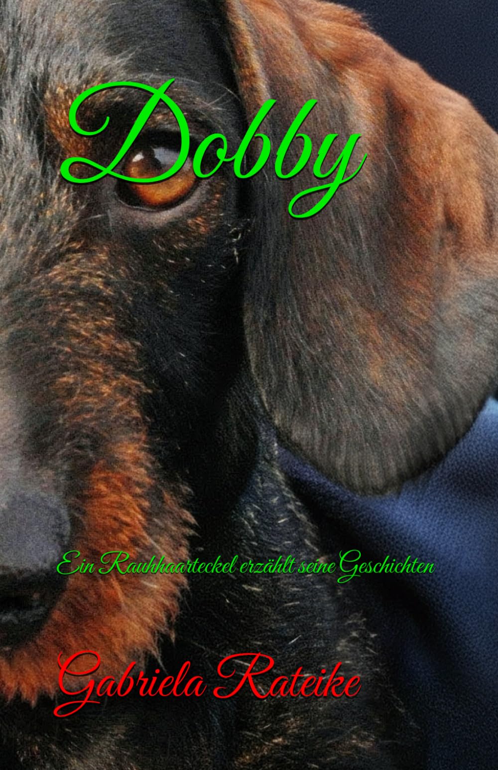 Dobby: Ein Rauhhaarteckel erzählt seine Geschichten