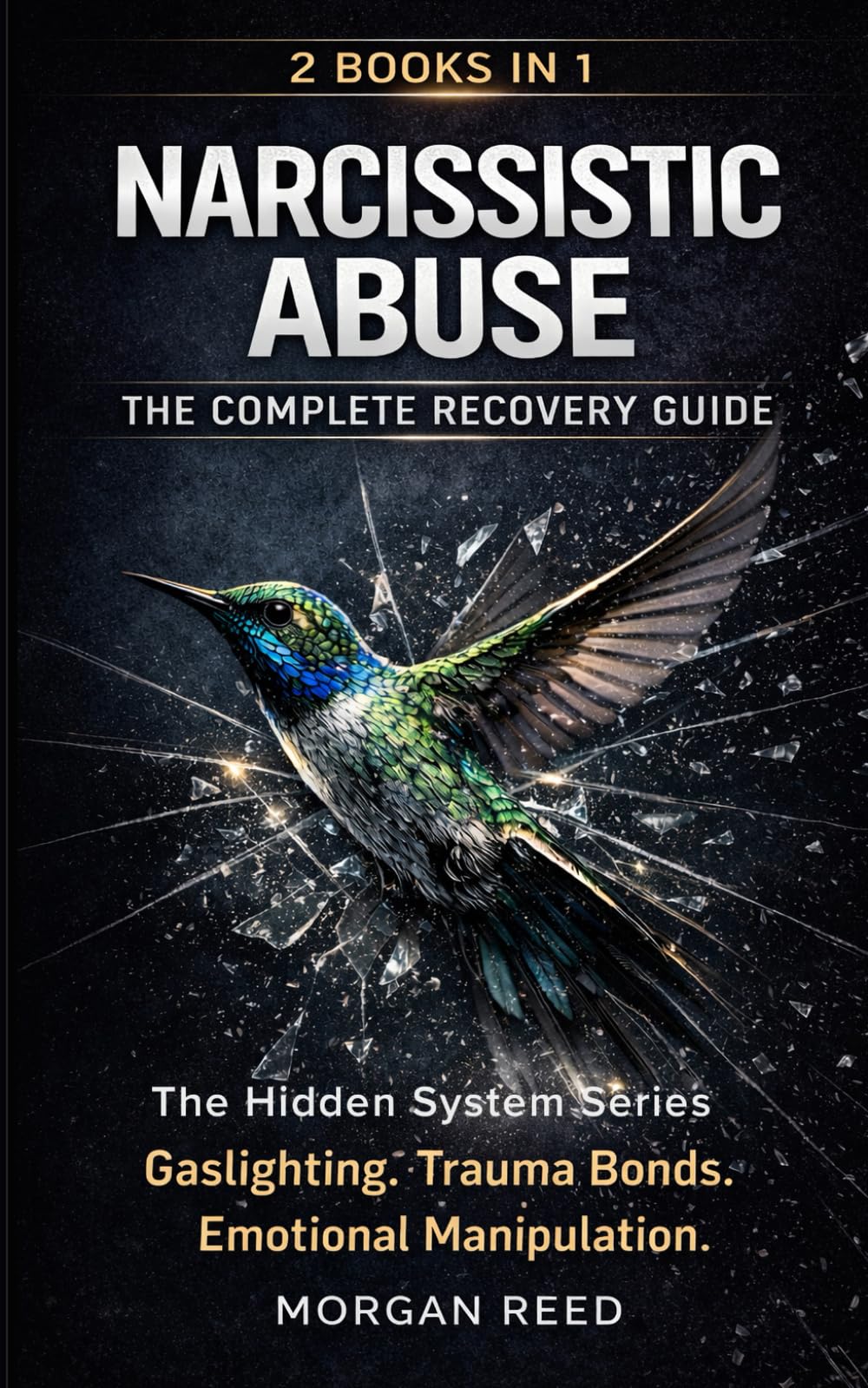 Narcissistic Abuse - The Hidden System Series 2 Books in 1: Gaslighting. Trauma Bonds. Emotional Manipulation. The complete Recovery Guide