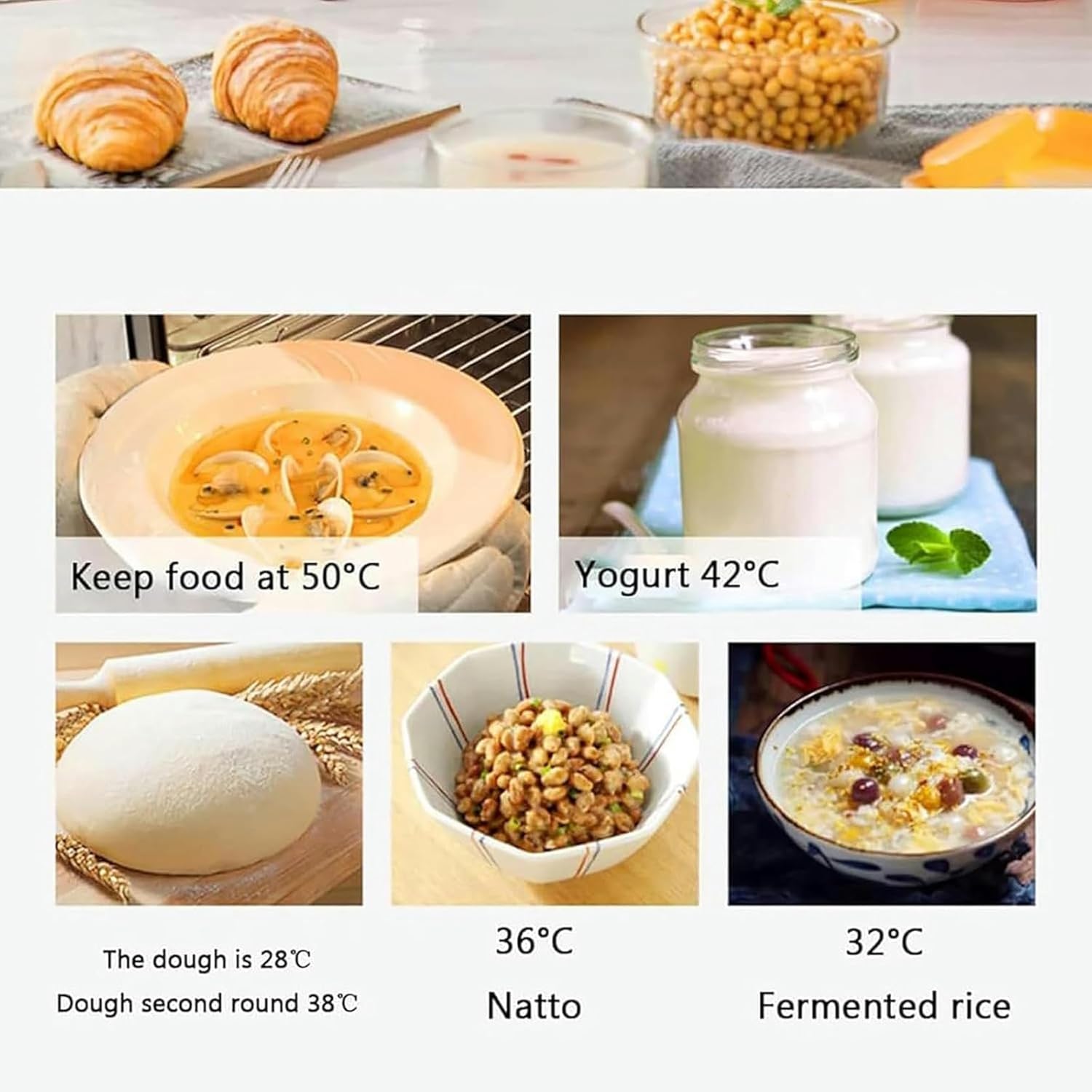 Commercial Bread Fermentation Tank, Temperature Control from 0 to 60°C, Humidity Control from 0 to 99% RH, Used for Making Bread, Yogurt, Wine, Sauerkraut and Rice Wine