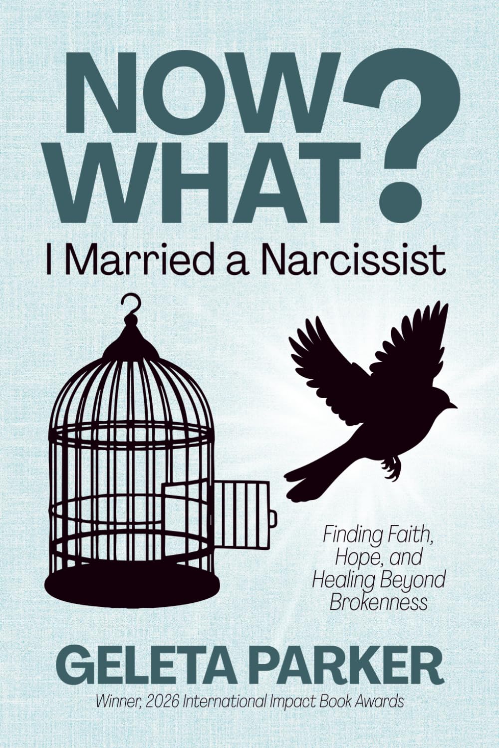 Now What? I Married a Narcissist: Finding Faith, Hope, and Healing Beyond Brokenness