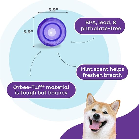 Outward Hound by Planet Dog Lil' Snoop Durable Interactive Treat Dispensing Dog Toy, Small, Purple