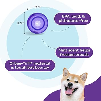 Outward Hound by Planet Dog Lil' Snoop Durable Interactive Treat Dispensing Dog Toy, Small, Purple
