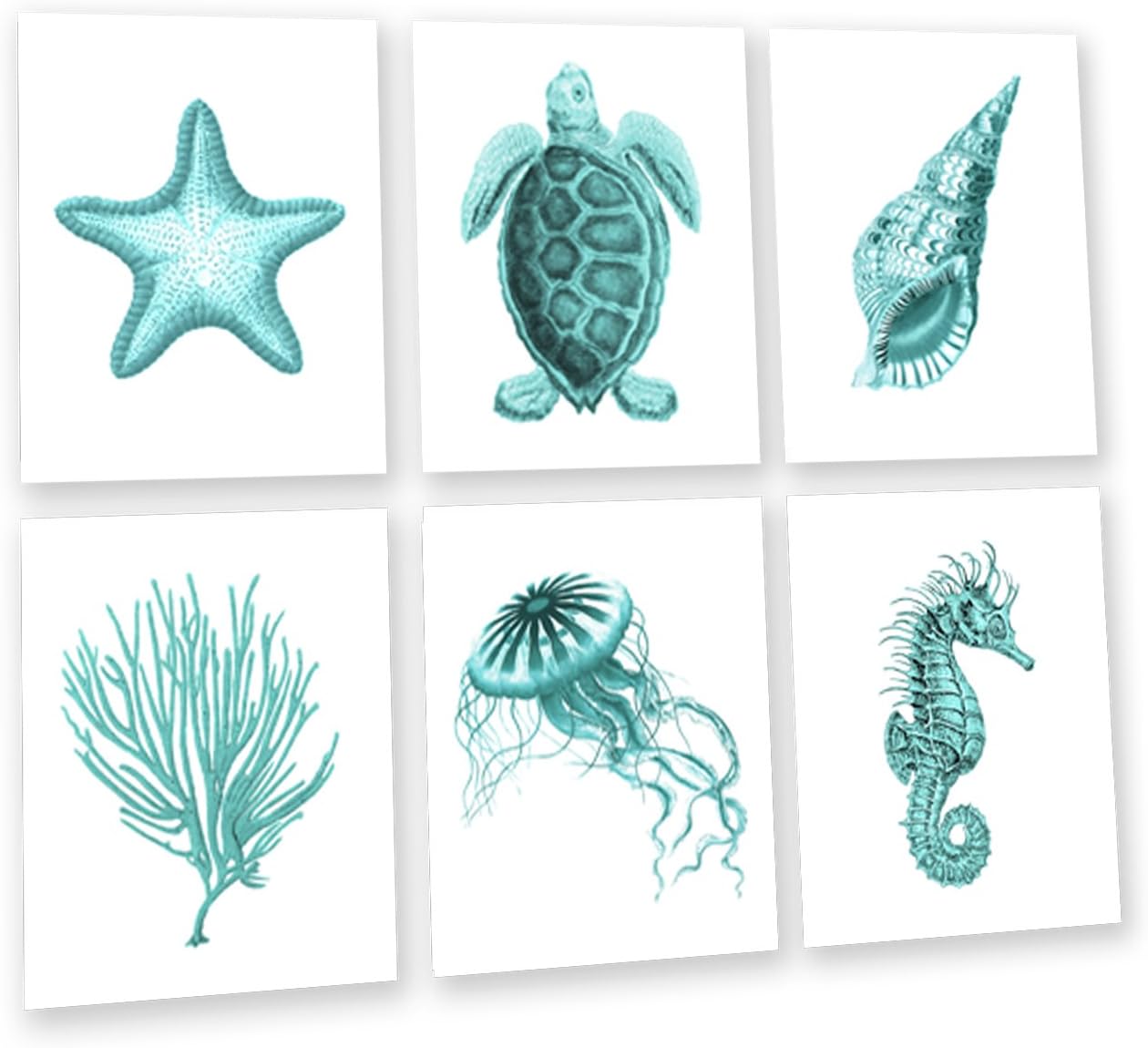 Gnosis Picture Archive Turquoise Beach Wall Art Set of 6 Unframed Prints Sea Turtle Seashells Starfish Jellyfish