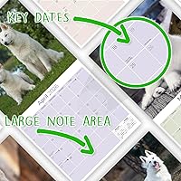 Vista 226 de Razas de Perros 2017