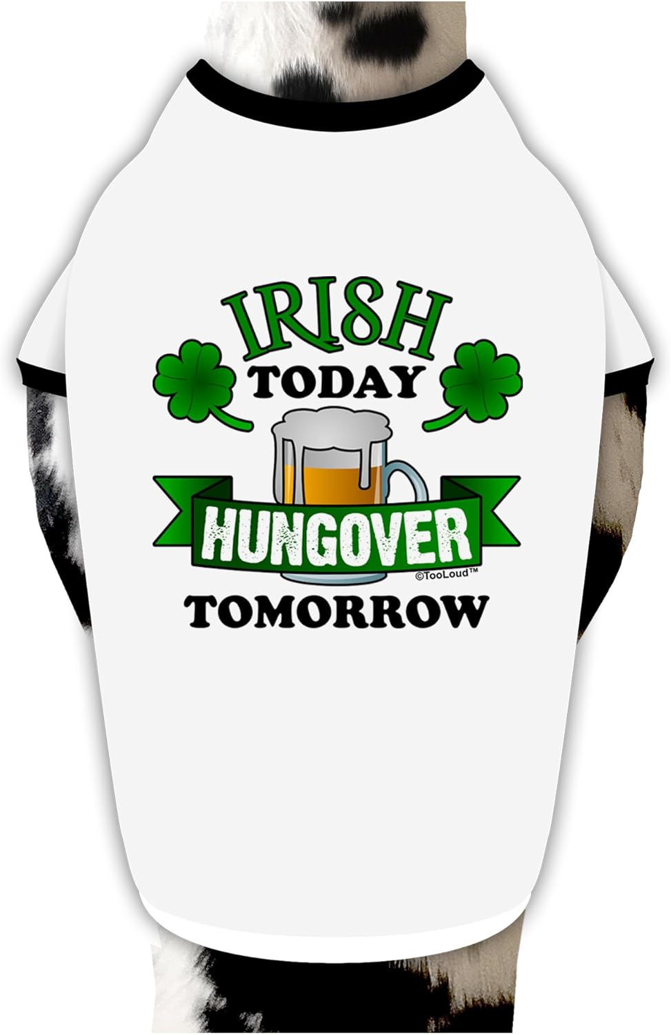 TOOLOUD Irish Today Hungover Tomorrow Dog Shirt White with Black XL