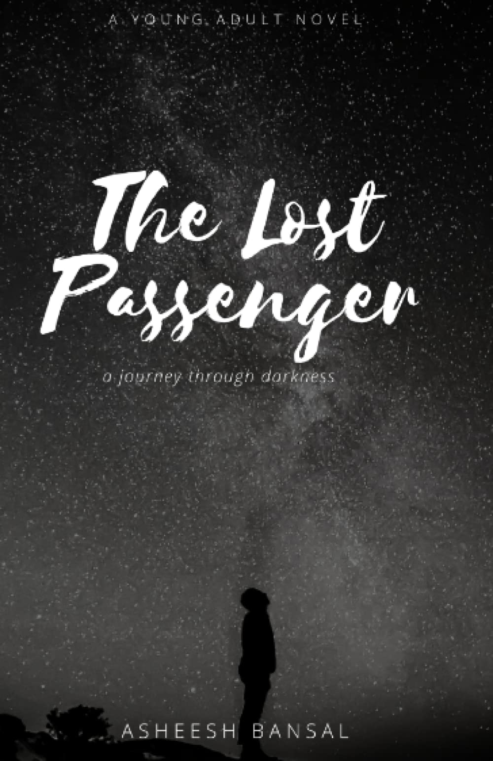 The Lost Passenger