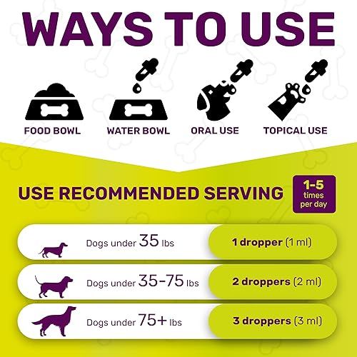 Miniatura 6 de Dog Yeast Infection Treatment  Dog Allergy  Dog Ear Infection Treatment  Yeast Infection Treatment for Dogs  Dog Allergy Relief  Dog Ear Infection