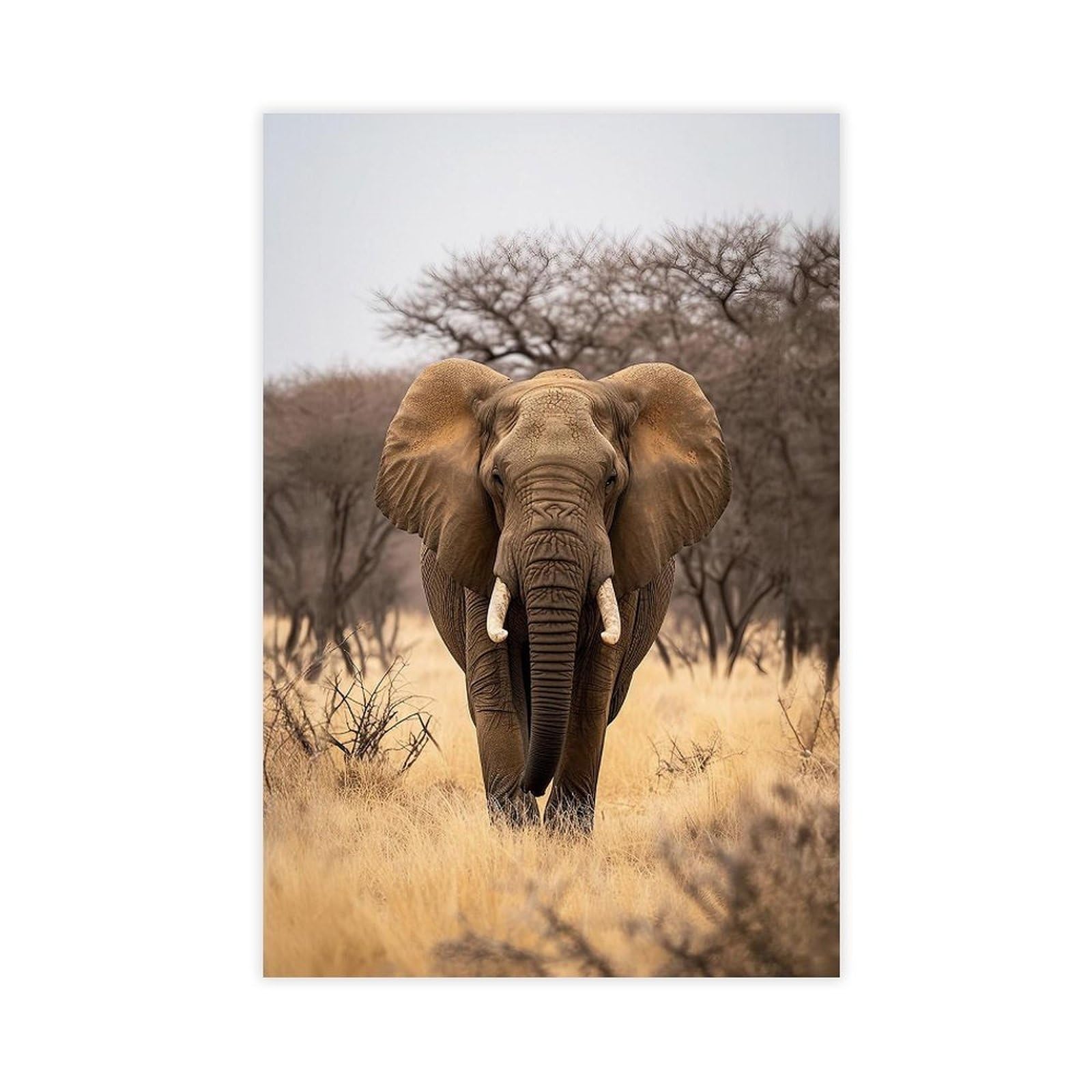 Bareronor African Elephant Canvas Poster Bedroom Decor Landscape Office Room Decor Gift 24" L X 36" W