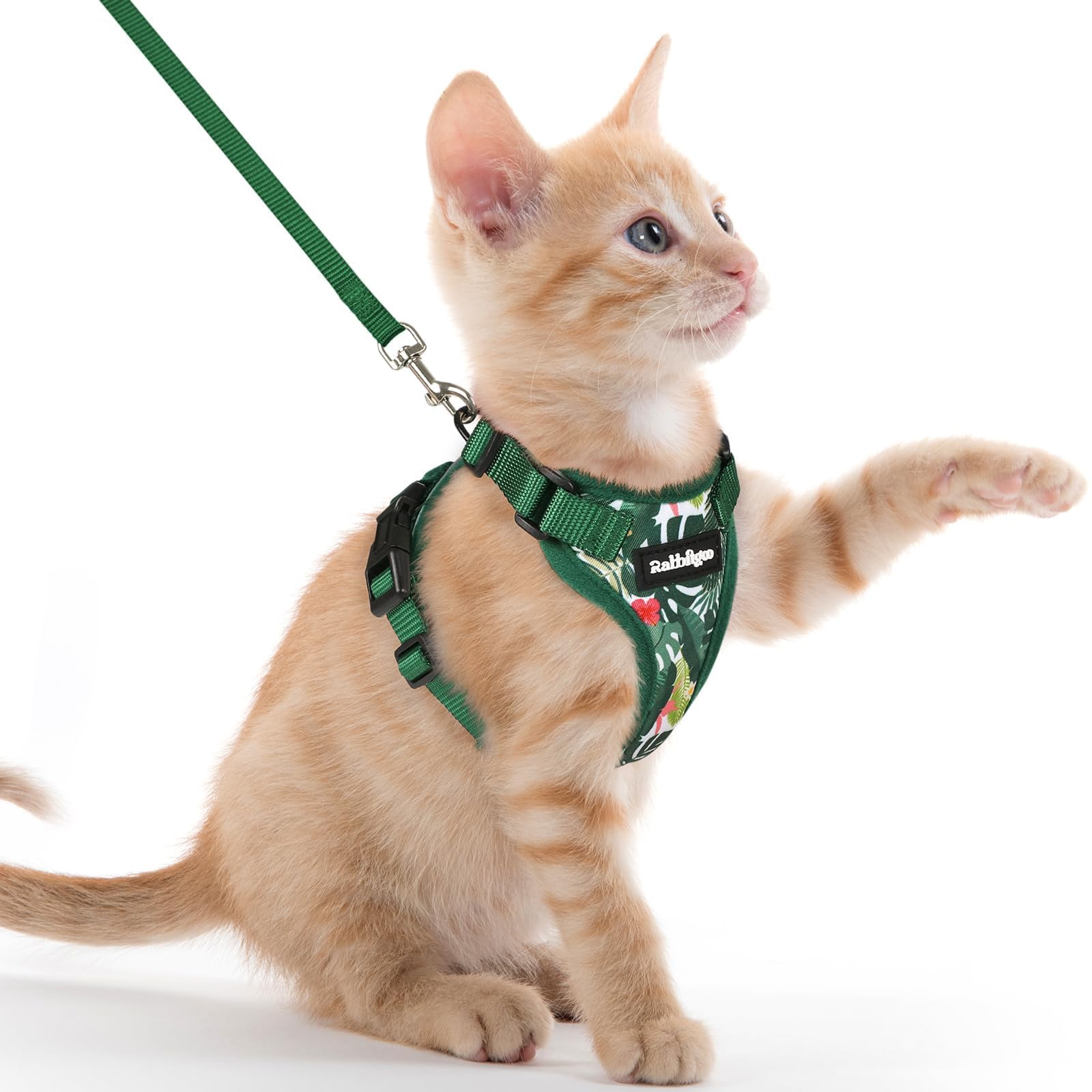 rabbitgoo Cat Harness and Lead Set, Adjustable Escape Proof Cat Lead for Walking, Reflective Kitten Harness Set, Soft and Comfortable for Medium to Large Cats,Rainforest Green, XXS — image 1
