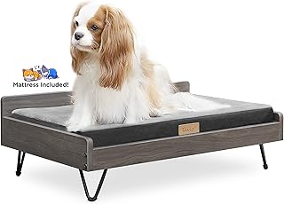 Wooden Dog Bed and Dog Couch with Water-Resistant and Calming Mattress, Small to Medium Elevated Pet Bed, Greenguard Gold Certified, Dog Beds & Furniture, Chase - TailZzz