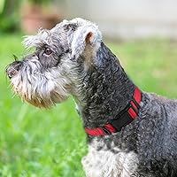 Vista 2 de Joytale - Collar reflectante para perro, collar de nailon transpirable con acolchado de neopreno suave para mascotas, ajustable para perros Rojo