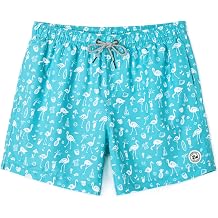 SURF CUZ Mens Swim Trunks 5 Inch Swim Shorts Quick Dry Bathing Suits for Men Beach Shorts Mesh Lining Swimming Trunks