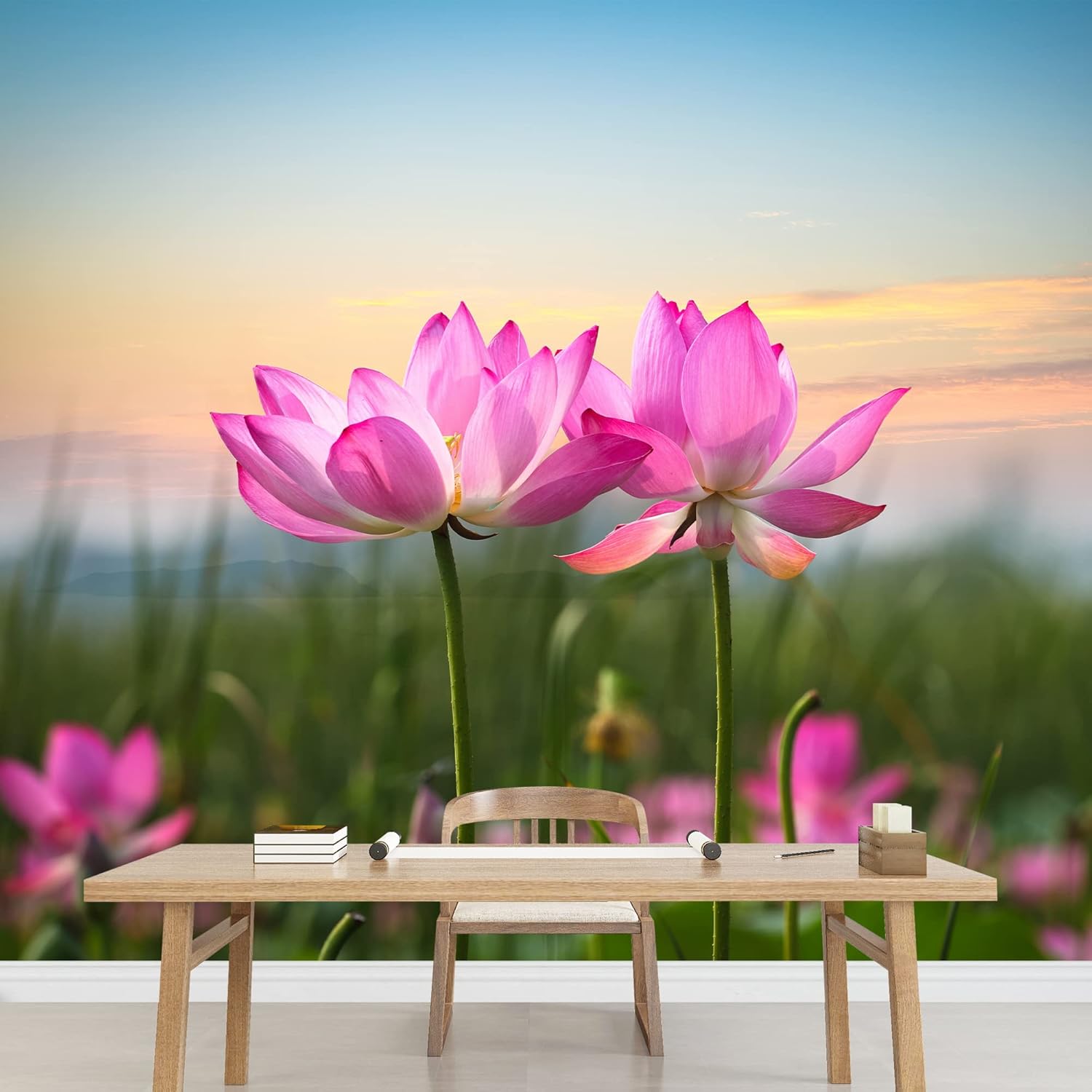 wall26 - Beautiful Lotus Flower in Blooming at Sunset - Removable Wall Mural | Self-Adhesive Large Wallpaper - 66x96 inches
