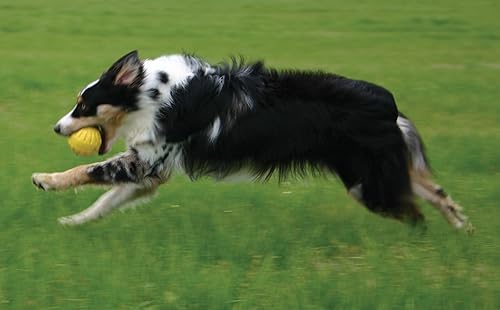 Miniatura 8 de Bola grande de espuma fantástica, los colores varían