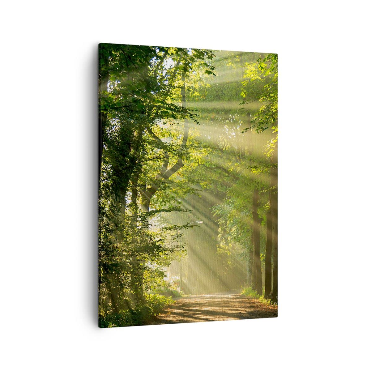 Tableau Toile Forêt Nature 70x50cm – Impression ARTTOR, Déco Murale