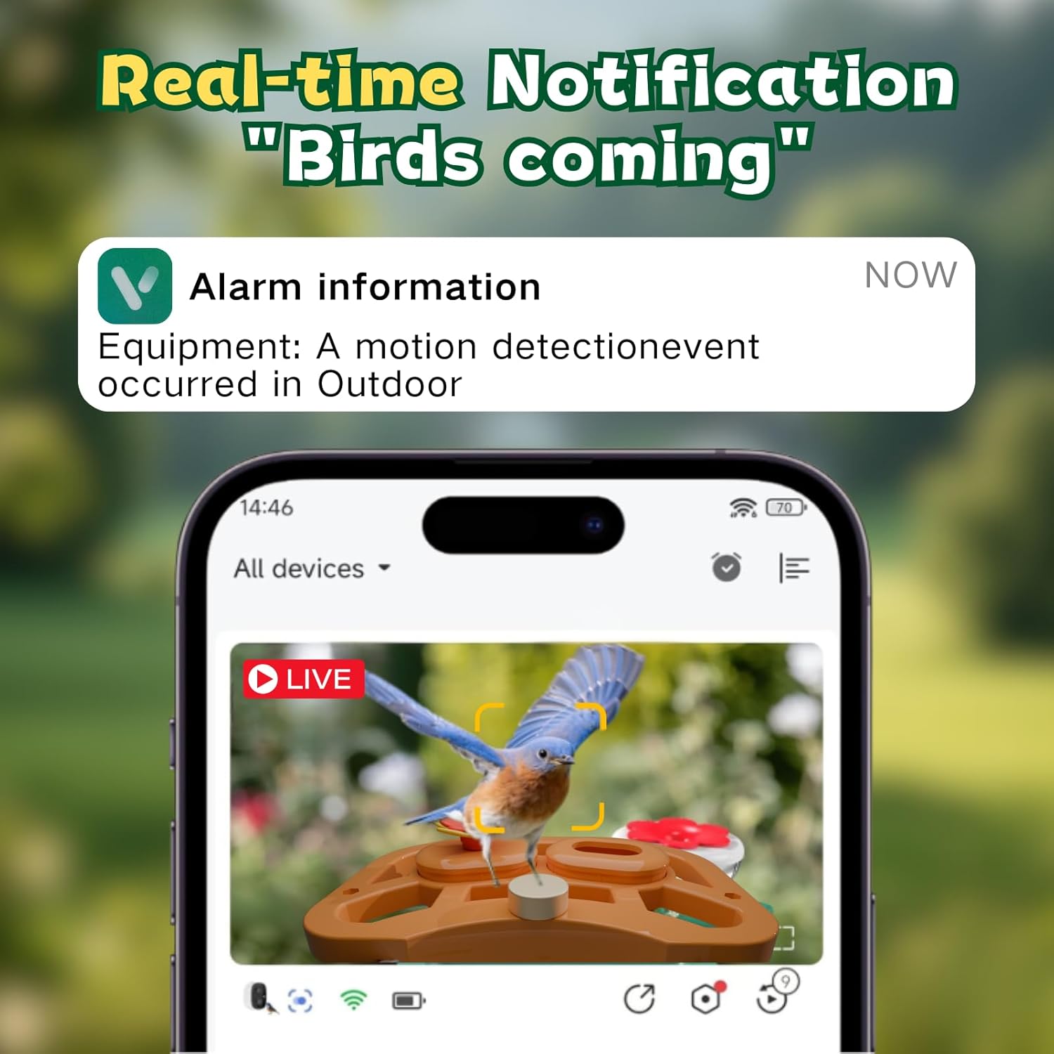 Smart Bird Feeder with Camera, 2.4GHz WiFi Watching Camera Bird Feeders for Outdoors Solar Powered, AI Identify 11,000 Birds Species, Instant Arrival Alerts, Auto Capture 2K HD Live Videos - Image 2