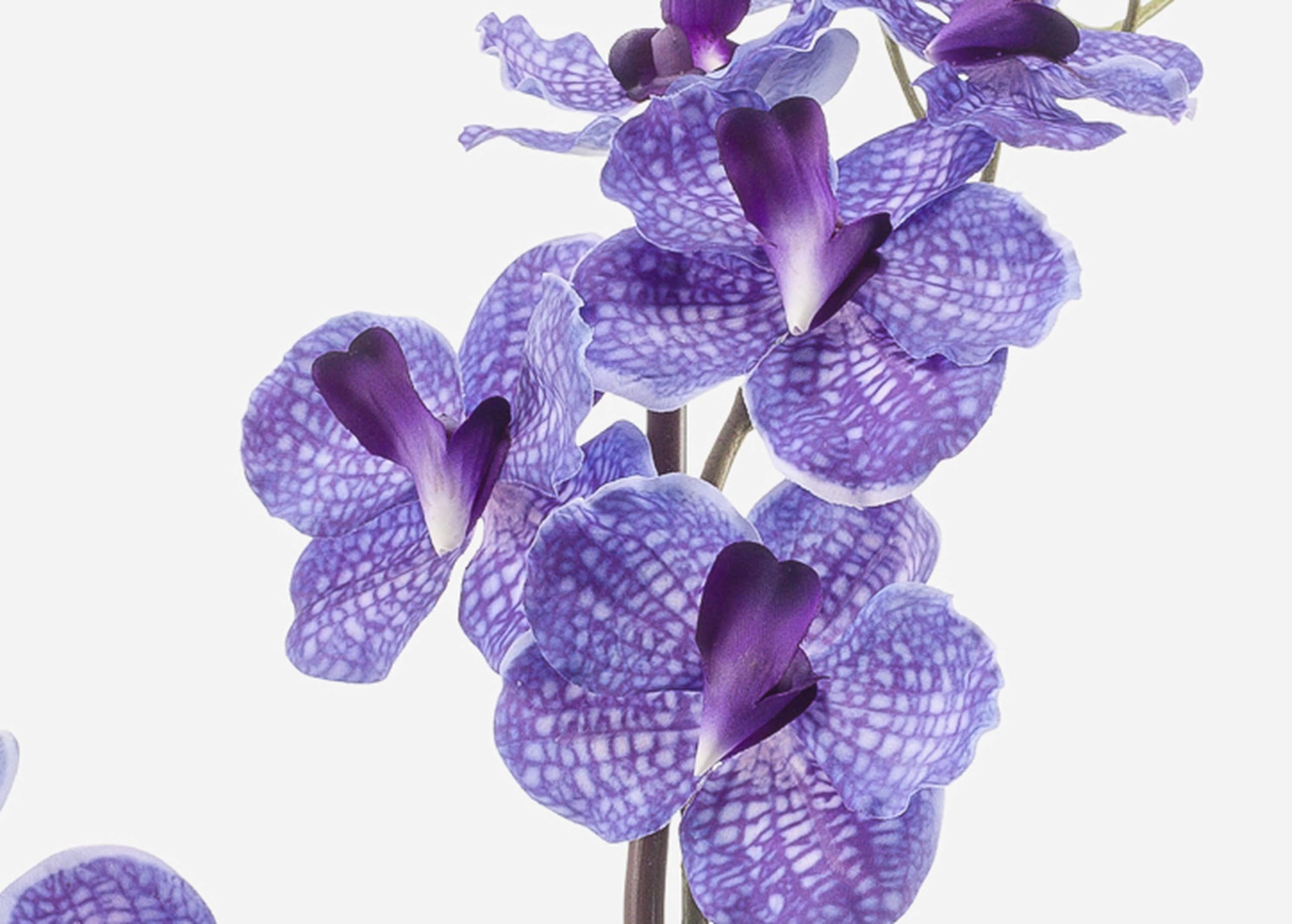 artplants.de Fleur Artificielle Orchidée Vanda Campo, Violet, 60cm