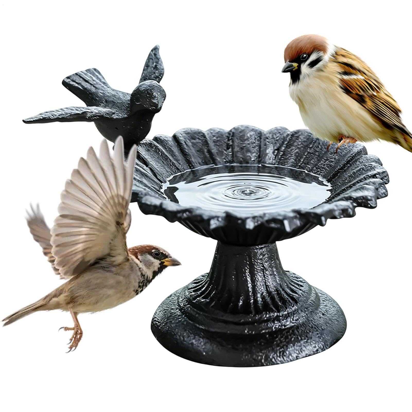 Bain d'oiseaux de jardin stable en métal contre le manque d'eau des colibris