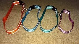 Review Image by Ben T.