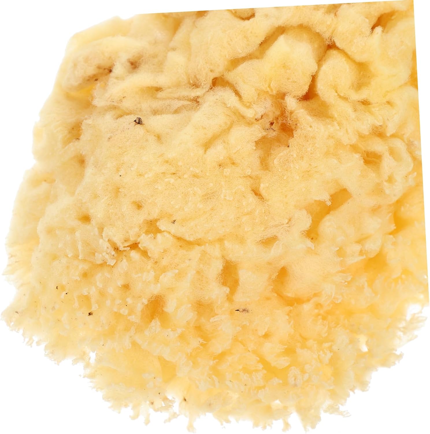 Artibetter Kind Sponges for Painting Water Absorption Sponges DIY Crafts Art Tools