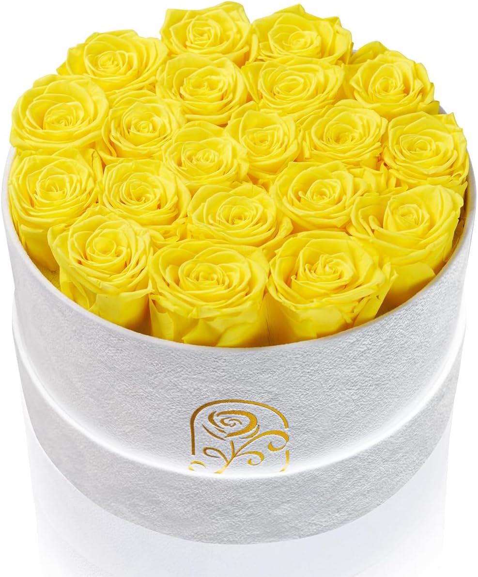 Gifts for Women Preserved Roses Flower Box, Luxury Velvet Box with 20 Roses, Preserved Flowers, Romantic Gift for Her, Wife, Girlfriend, Birthday Anniversary Christmas (Yellow)