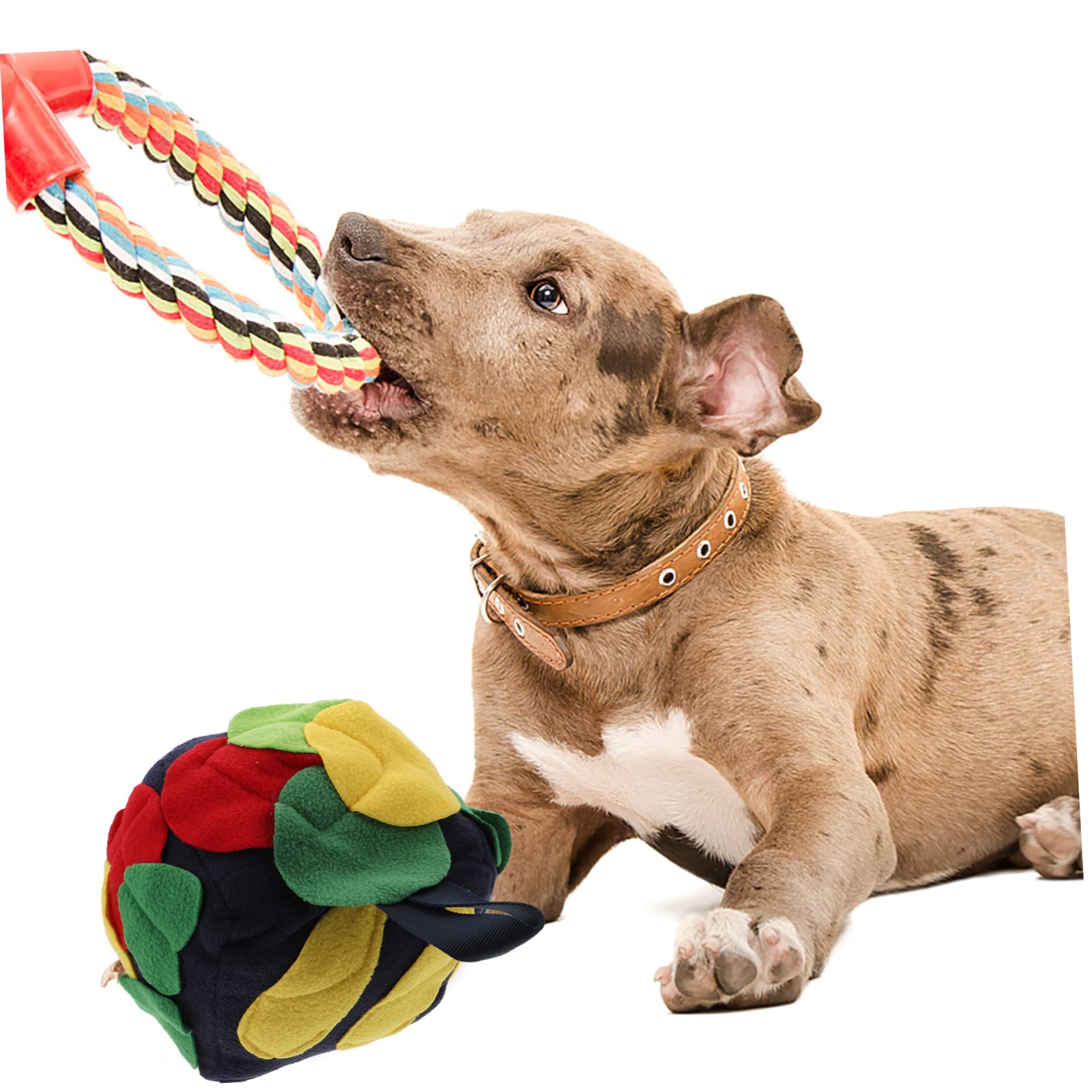 FOMIYES 3piezas Pelota De Forraje para Juguete Interactivo Alfombrilla para Oler Dispensador De Comida para Cachorros y Retro