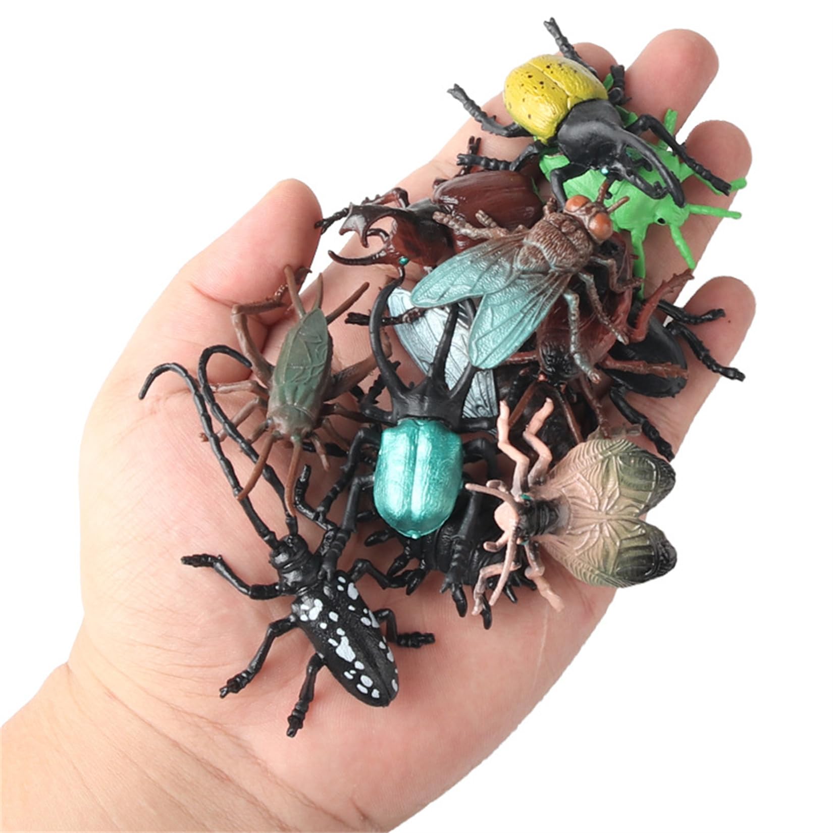 Amazon.co.jp: EUHELOPA 12点セット カブトムシ アトラスオオカブト