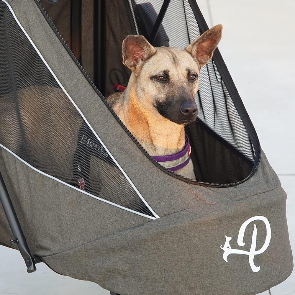 Petique Breeze Große Hundebuggy Hundewagen wandelbar Fahrradanhänger für Hunde mit Luftreifen, Grünes