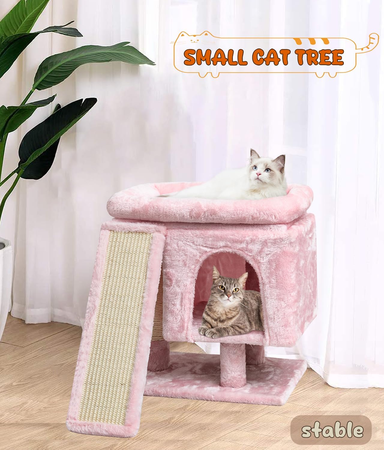 https://m.media-amazon.com/images/I/71oSwo8VKJL._AC_SL1500_.jpg