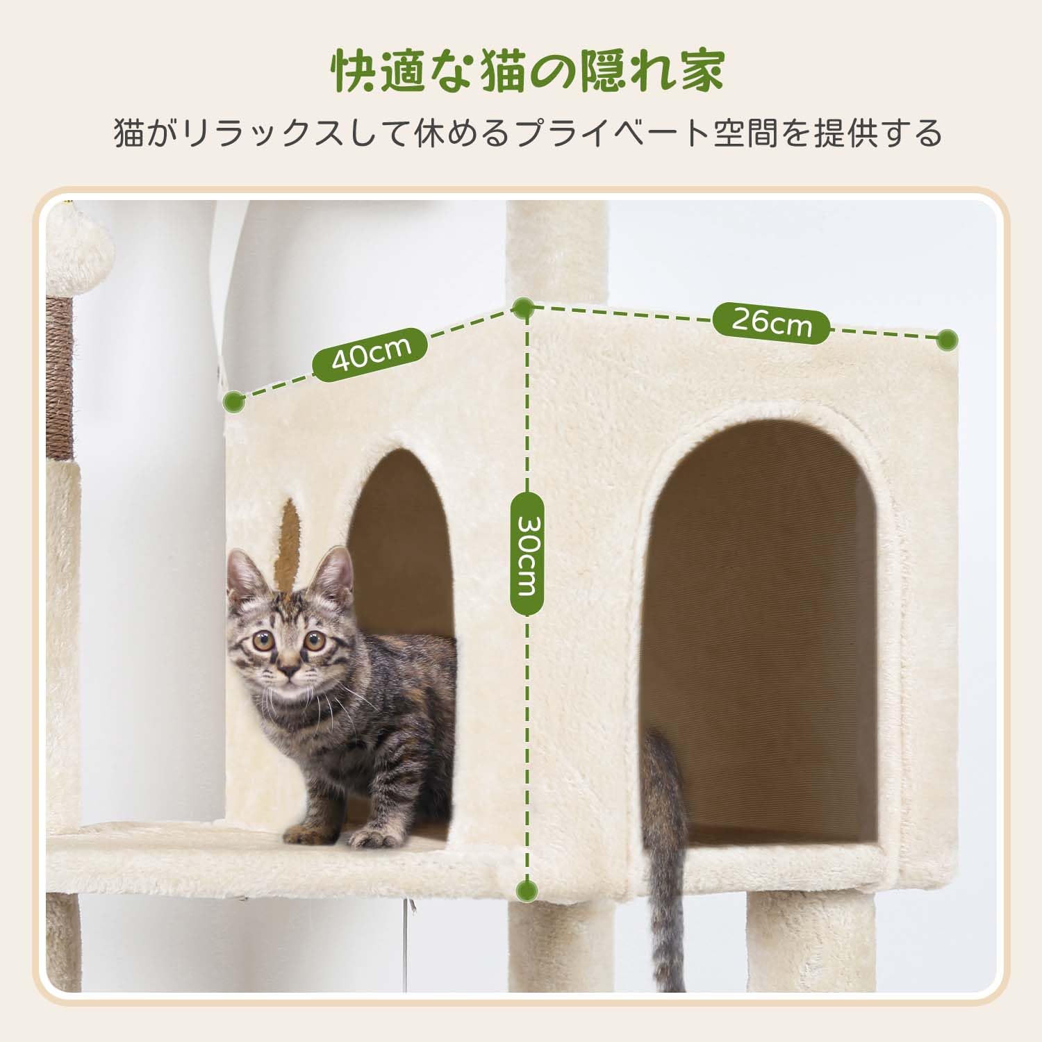 Amazon | Globlazer F53 キャットタワー 低い スリム 省スペース 付き