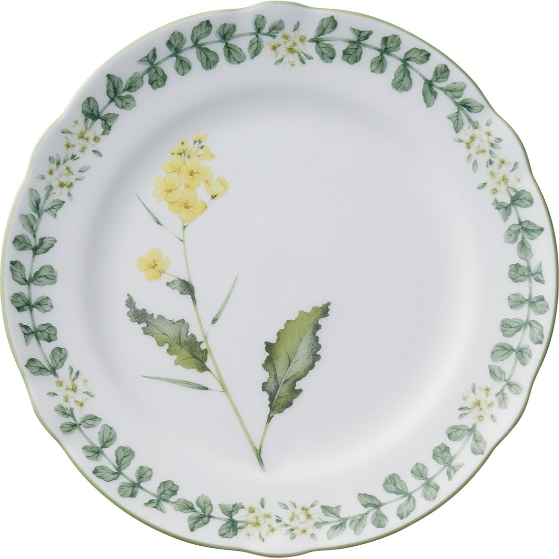 Amazon.co.jp: Noritake ノリタケ プレート セット 19cm