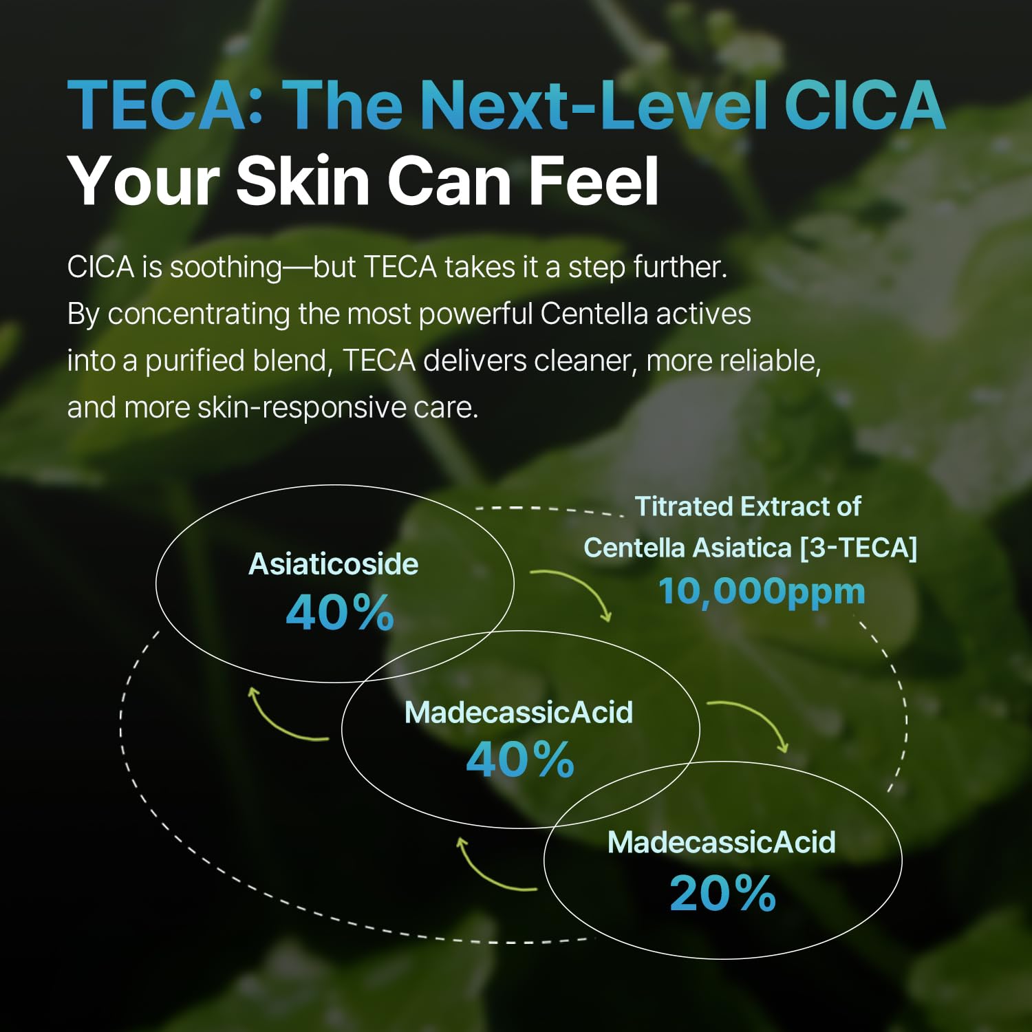 Centella Oint Cream | Facial Cream for Troubled & Sensitive Skin with TECA, Niacinamide, Centella Exosome | Spot Care, Korean Skin Care (30 g/1.05 oz) - Image 4