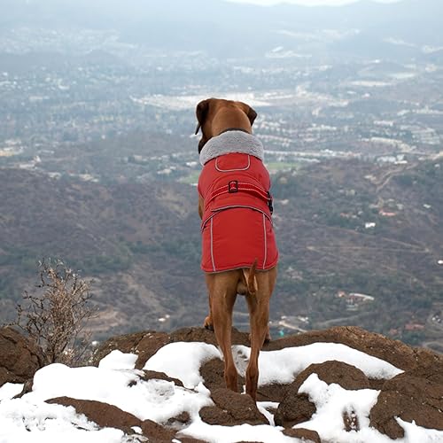Miniatura 7 de Lelepet Abrigo cálido para perro, chaleco reflectante de vellón para perro, chaqueta impermeable para perro, abrigo de invierno para perro, abrigo