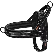 No Pull Dog Harness for Small Dogs, Soft Flannel Padded, Black, S | Quick Fit, Easy On and Off, Adjustable & Reflective Dog Strap Vest, Easy for Walking and Training, Night Safty, Chest 19-23"