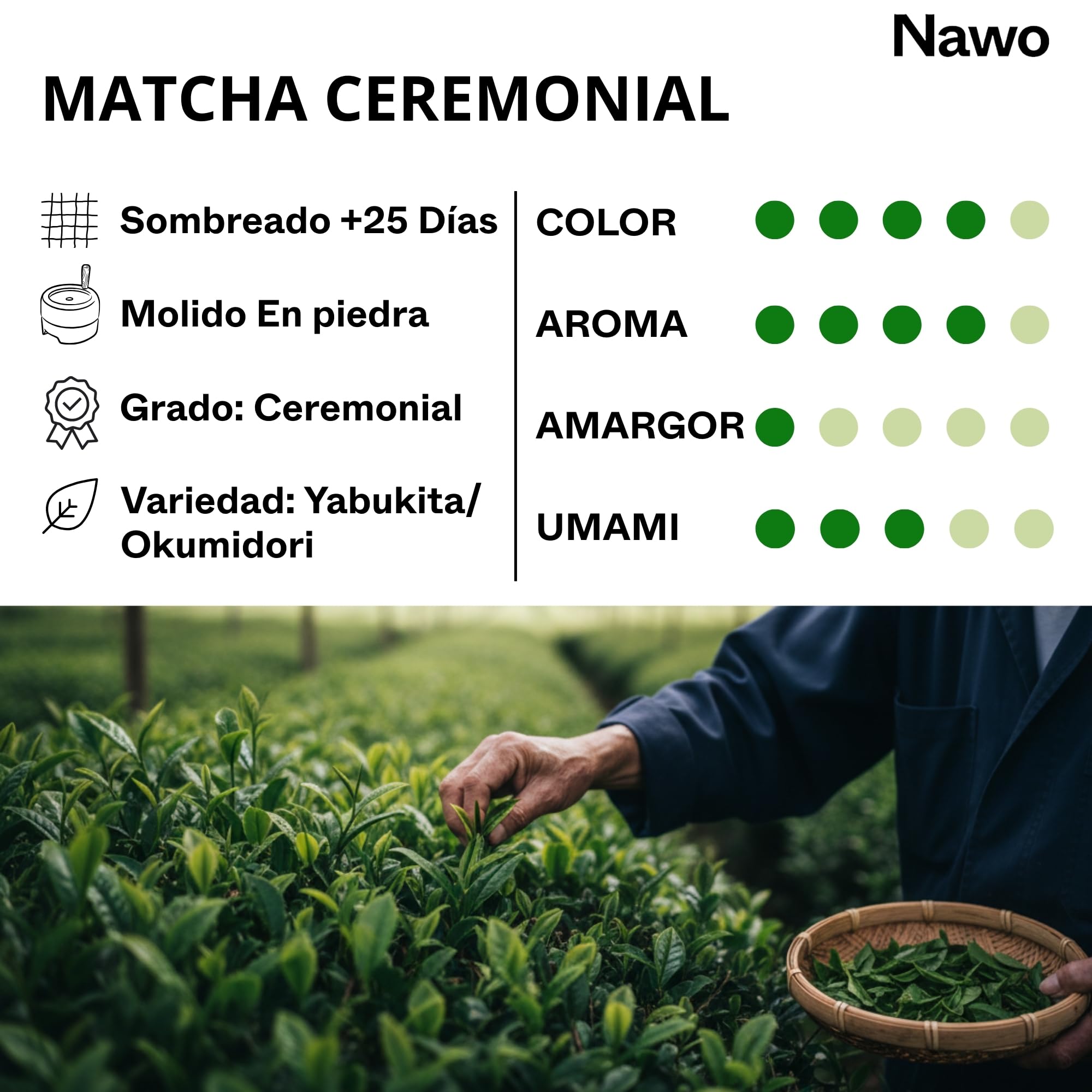 Matcha Ceremonial Barista 250g – Té Verde Puro en Polvo – Primera Cosecha – Sin Amargor – Latte, Cafeterías y Uso Profesional – Analizado en Laboratorio – 100% Natural – Sin Azúcar – NAWO® Matcha