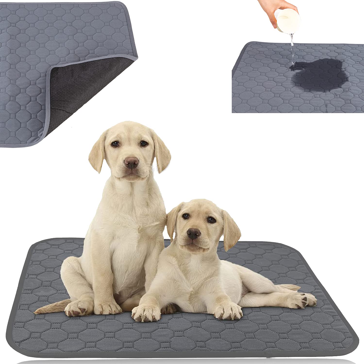 Morkite Alfombrilla para perros Cleany, ultra absorbente