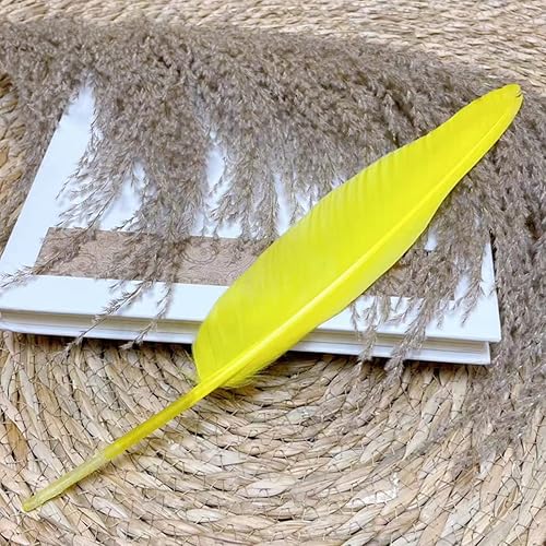 Miniatura 10 de 50 plumas de color rojo rosa con 10  12 pulgadas, hermosas plumas para manualidades (10.2-12.2 in), pluma de ganso natural bilateral de gran tamaño,