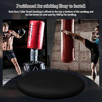 FightTech Smart Punching Bag photo