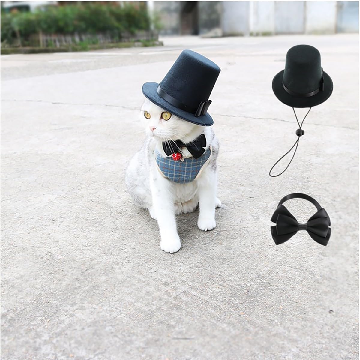 Chapeau haut de forme pour animal de compagnie avec nœud papillon - Accessoires formels pour chien et chat - Costume western pour fête d'anniversaire - Noir