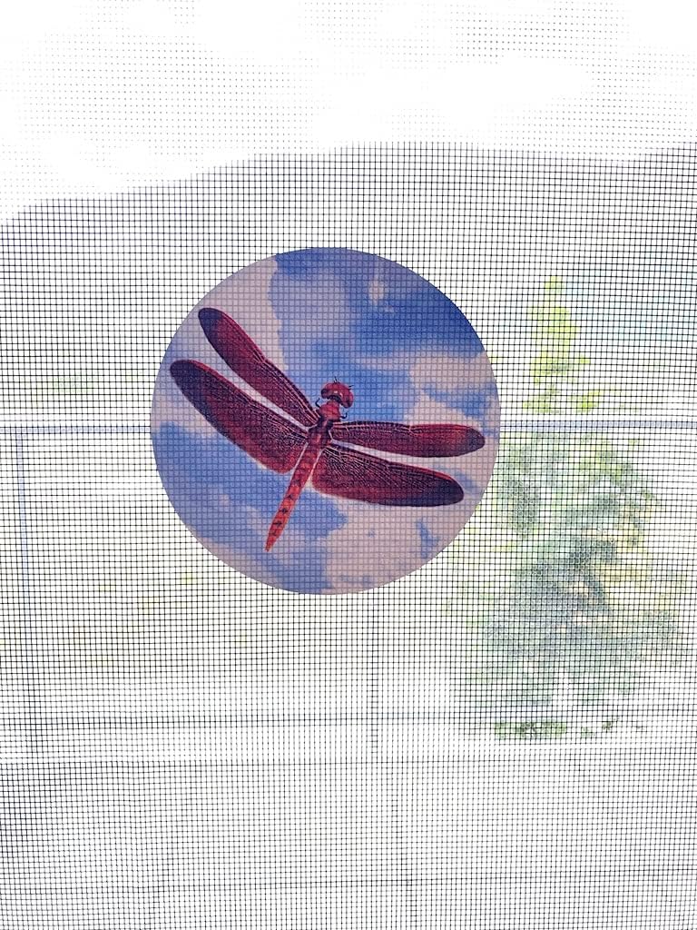 Retractable Screen Door Decals (Stickers) - 6 per Package - Keep Children Safe - Alert Birds, Dogs, Kids - Warn, Protect, Window Safety - Dragonflies