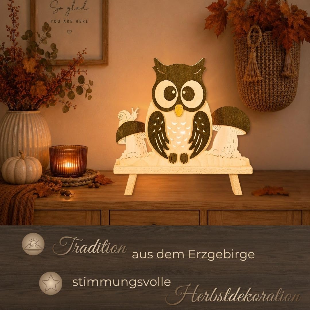 weigla - Dekoleuchte original Erzgebirge I Motiv Eule I 1 Lampe I 7 W, E14 I Herbstdeko innen I Herbstbeleuchtung aus Holz I Fensterdeko