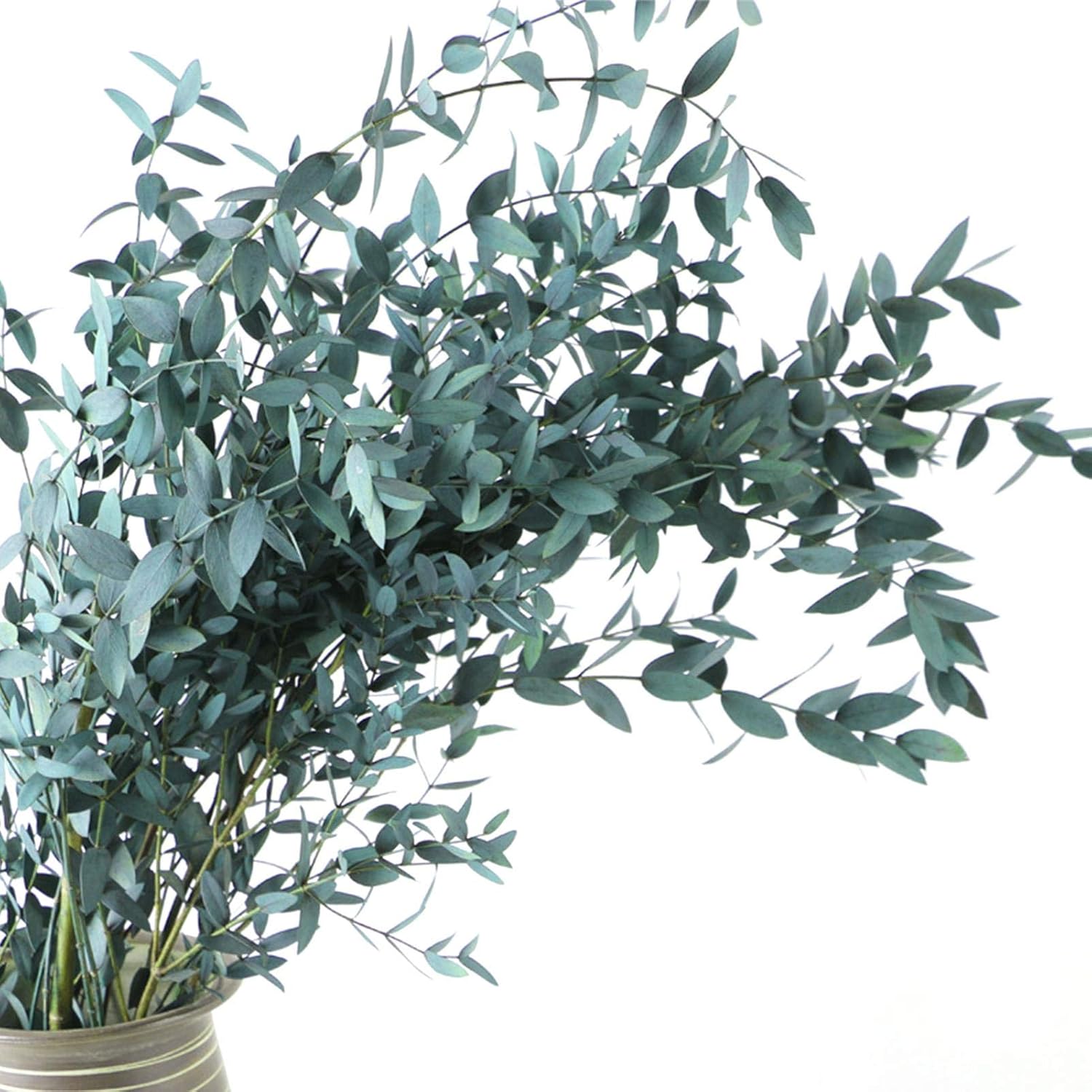 Bgyl ドライフラワー ユーカリ 自然乾燥 フェイクグリーン ユーカリの葉 花材 セット ナチュラルガーランド 観賞植物 インテリアフラワー 室内装飾 飾り物 フラワーギフト 通販 激安 Bgyl ドライフラワー ユーカリ 自然乾燥 フェイクグリーン ユーカリの葉 花材 セット ナチュラルガーランド 観賞植物 インテリアフラワー 室内装飾 飾り物 フラワーギフト 通販 激安