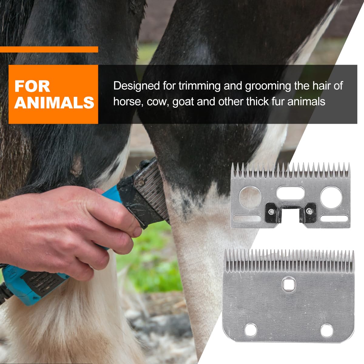 Lames de rechange carbure 35 dents pour ciseaux à chevaux tondeuse professionnelle
