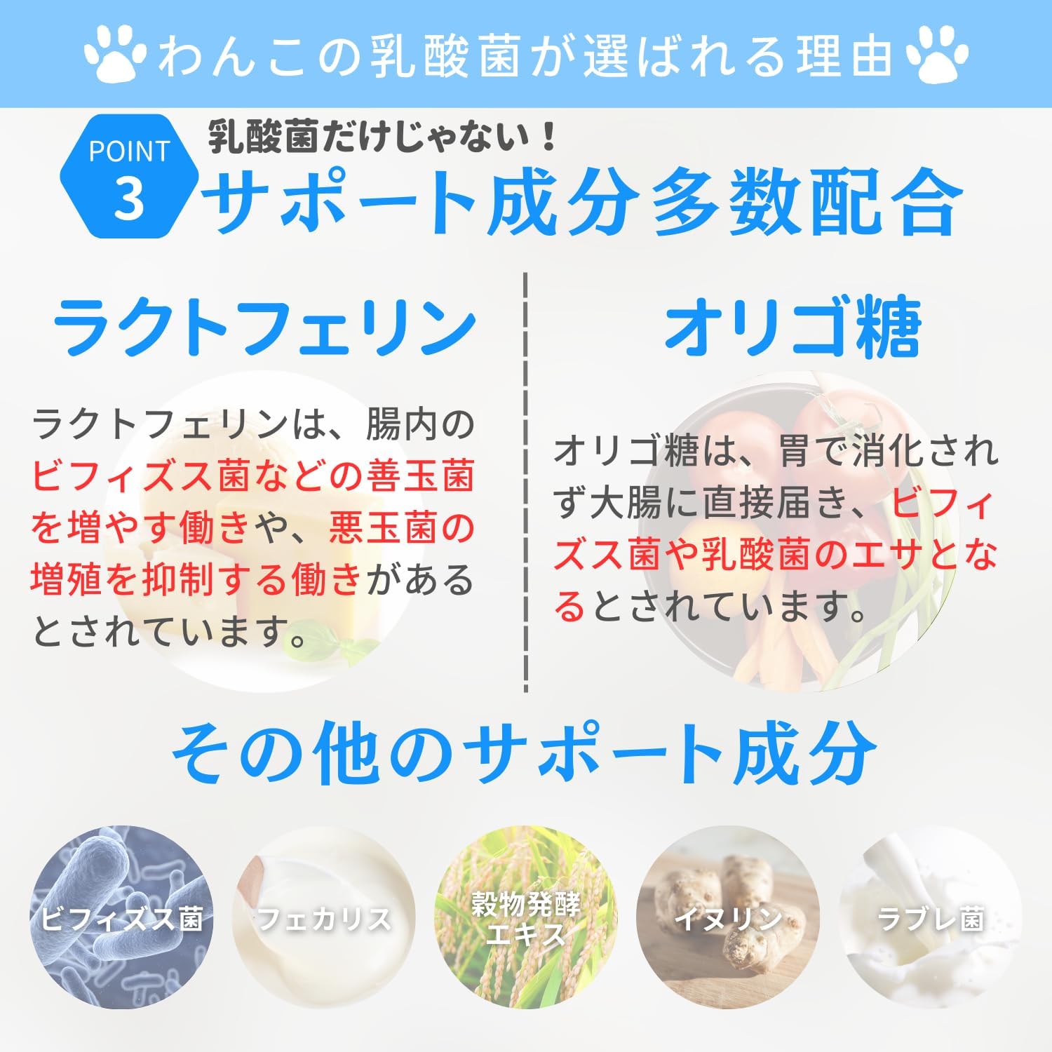 Amazon.co.jp: わんちゃんライフ 【獣医師監修】わんこの乳酸菌 犬 猫