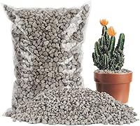 Vista 8 de Piedra Pómez Hortícola Sukh - Piedra Pómez para Plantas Suculentas Cactus Bonsái Orquídea Enmienda de Suelo 410g